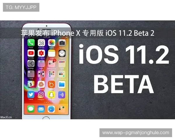PG旗舰站公司为游戏开发者提供的专业服务与合作方案介绍 PG旗舰站公司为游戏开发者提供的专业服务与合作方案介绍